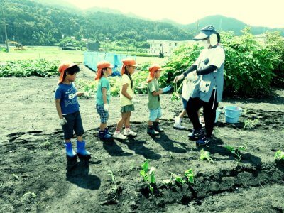 さつまいもの苗植え | その他