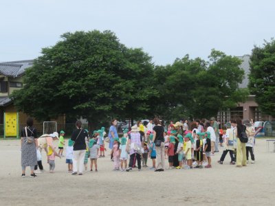 りす組、ひよこ組参観日 | その他